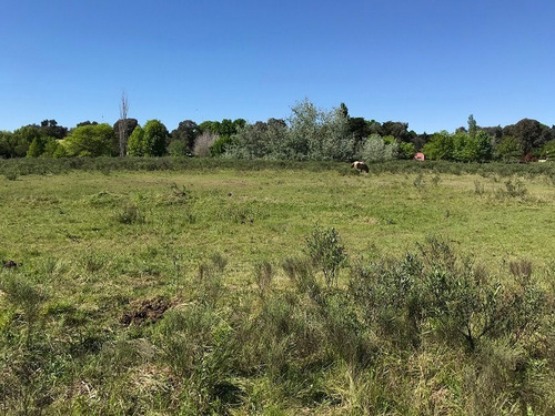 Imagen 5 de 12 de Terreno En Venta En San Antonio De Areco