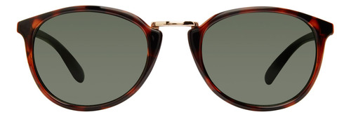 Gafas Steve Madden Outlook X17139