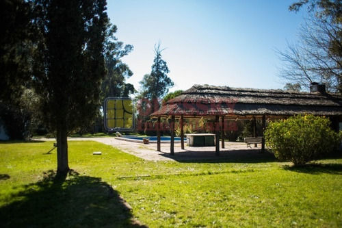 Imagen 15 de 25 de Cañuelas-casa Quinta En Venta