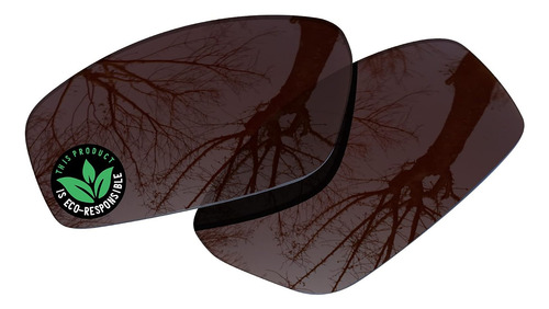 Lentes De Reemplazo De Policarbonato De Raydi Para Gafas De
