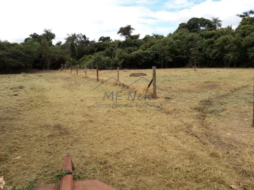 Imagem 12 de 30 de Chácara, Campo Alto, Pirassununga - R$ 180 Mil, Cod: 10131719 - V10131719