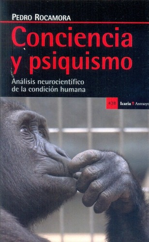 Conciencia Y Psiquismo - Rocamora, Pedro, De Rocamora, Pedro. Editorial Icaria En Español