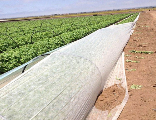 Rollo Tela Antiheladas - Agribón Granizo 2.10m X 1000 M