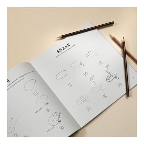 Libro: Mushrooms & Woodland Creatures: How To Draw Books For
