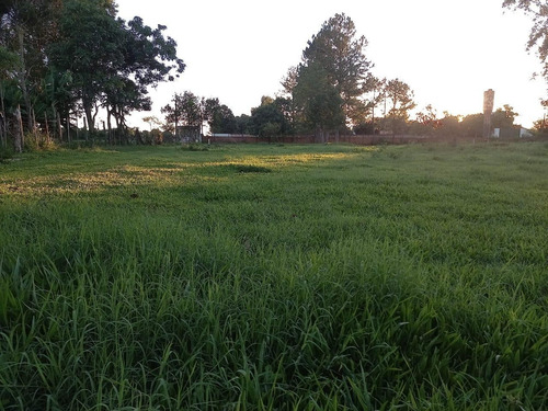 Imagem 7 de 18 de Chácara Com 2 Dormitórios À Venda, 10000 M² Por R$ 750.000,00 - Loteamento Porto Dourado - Foz Do Iguaçu/pr - Ch0020
