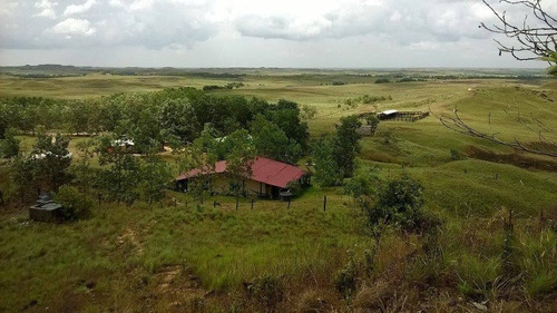 Imagen 5 de 7 de Venta Finca Puerto Gaitan Meta