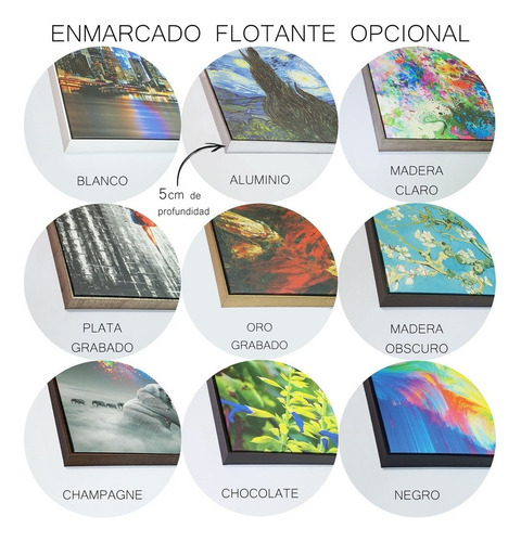 Cuadro Canvas Carnaval De Arlequin Con Marco Flot. 90x140 Cm