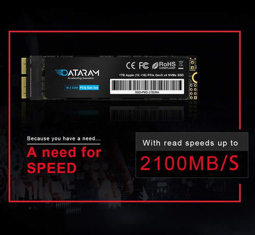 Dataram SSD-PM2-1TB/MA 1 MB