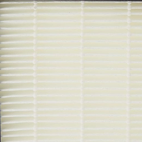 Rowenta Filtro Hepa Para Purificador De Aire Mod Xd6074u0 Color Negro