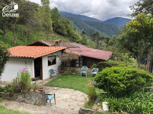 Imagen 2 de 12 de Finca En Venta Mérida. El Pedregal, Tabay