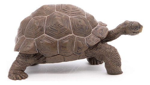 Figura De Juguete De Tortuga De Papo Galapagos