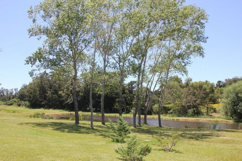 Excepcional Terreno 1457m2 Punta Ballena-ref:4284