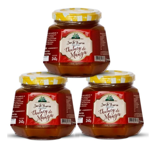 Imagem 1 de 1 de Kit 3 Chutney De Manga Acompanhamento Gourmet 240g