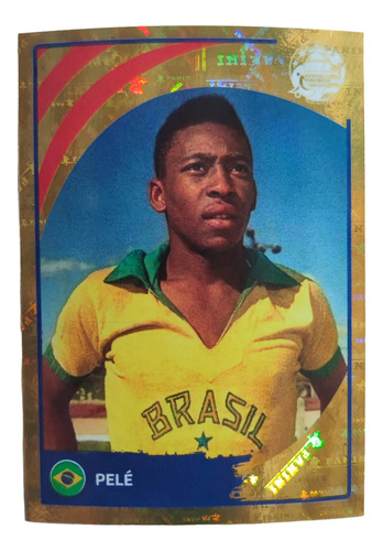 Lamina Leg3 Pelé Álbum Copa América Usa 2024 Original