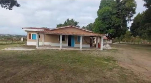 Sitio Com 9.3 Hectares Com Irrigação, Muita Água.