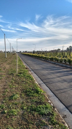 Lote - Ecopueblo Alvear - Todos Los Servicios