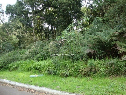 Imagem 8 de 14 de Terreno - Candiago - Ref: 3867 - V-gi3873