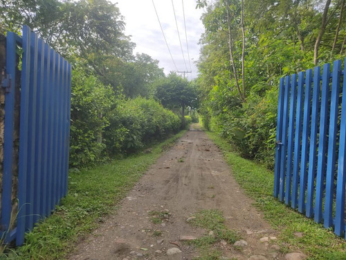 Venta Lote La Meseta Anapoima Cundinamarca