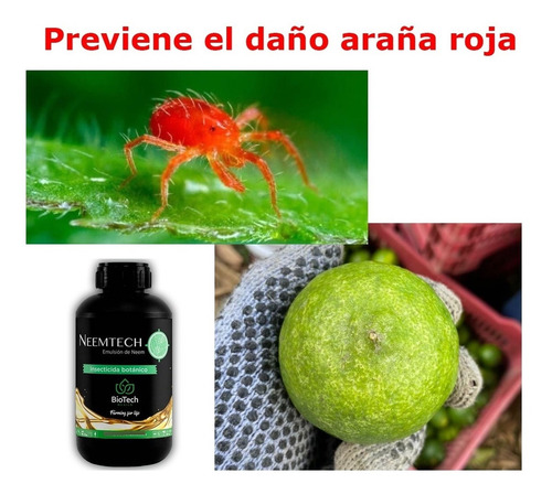 Emulsion De Neem Para Acaros En Citricos Neemtech 1 Lt