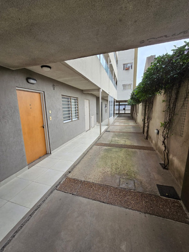 Hermoso Depto Con Patio Propio