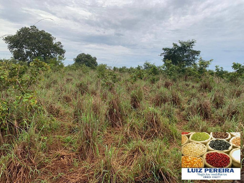 Imagem 3 de 15 de Fazenda À Venda Em Monte Santo - To - De 83 Alqueirões (dupla Aptidão) - 1623