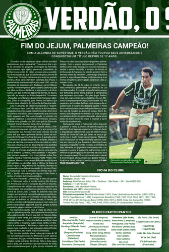 Palmeiras Pôster Campeão Paulista 1993 - On Line Editora