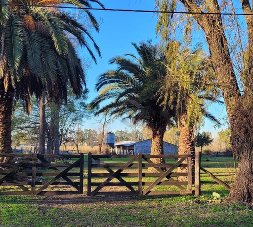 Terreno Campo En Venta En Parada Robles, Exaltación De La Cruz