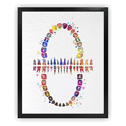 13x19 Unframed Tooth Chart An Al Art Dental Clinic Dent...