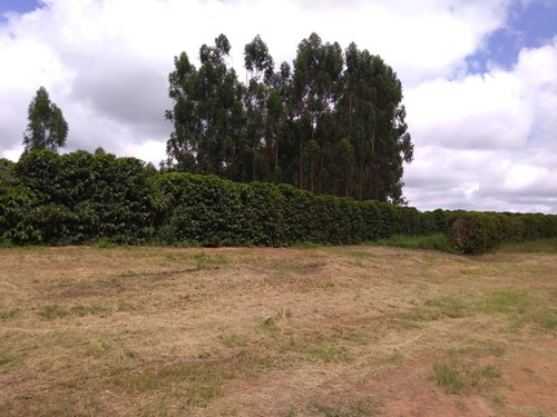 * Excelente Investimento Fazenda Com 390 Hectares * - 21342