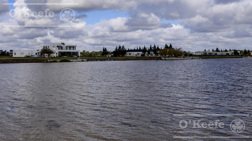 Lote En Venta En Puerto Nizuc - Oportunidad De Inversión En Guillermo Hudson