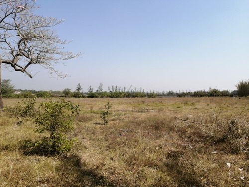 Hectáreas En Venta Veracruz Localidad El Pando, Veracruz.