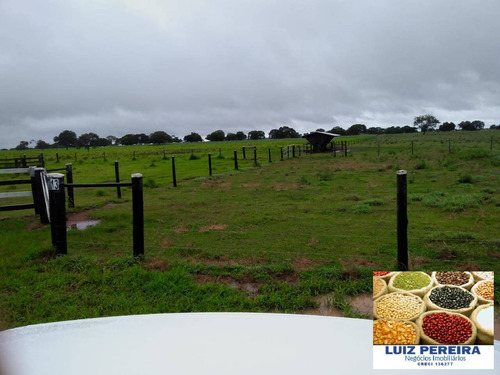 Imagem 4 de 15 de Fazenda À Venda Em Formoso Do Araguaia-to - 1.771 Hectares (dupla Aptidão) - 1618