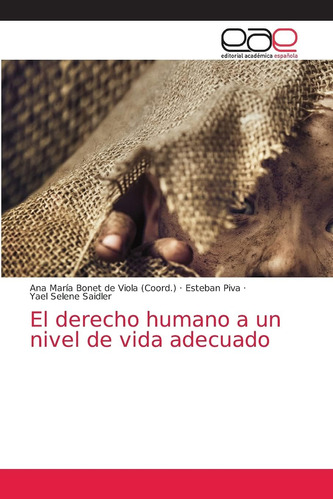 Libro: El Derecho Humano A Un Nivel Vida Adecuado (spanis