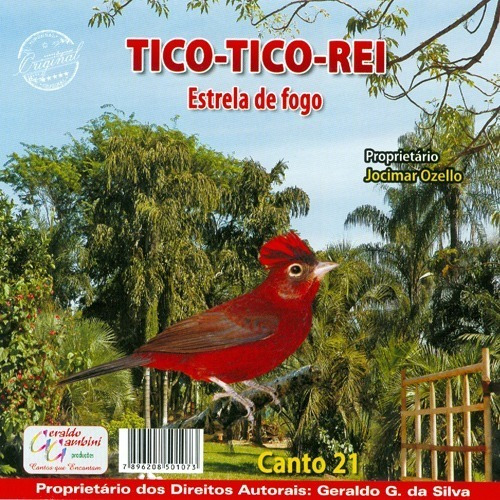 Cd - Tico-tico Rei - Estrela De Fogo
