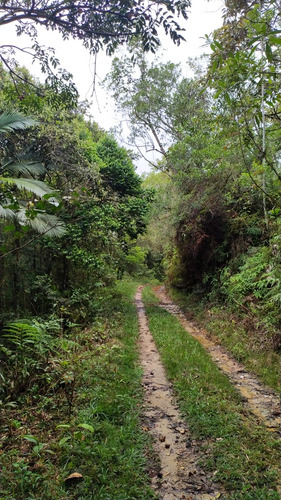 Sítio Juquitiba 