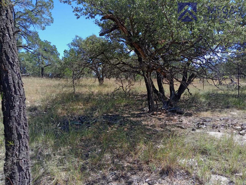Terreno En Venta En Desarrollo Ecoturisco La Muralla Durango