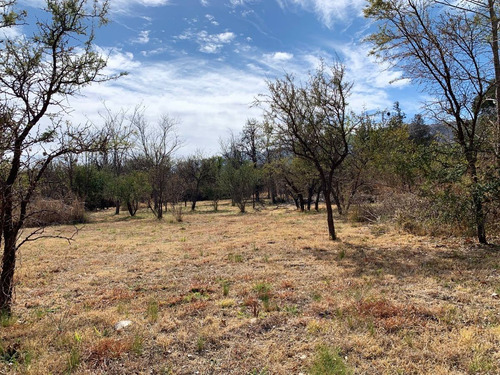 Imagen 7 de 9 de Lote En Venta 1300 M² | Las Moreras, Merlo (sl)