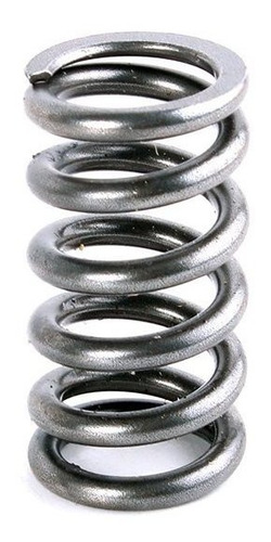 Válvula De Escape E Molas Prox Yzf 250 01/13 (kit 2 Pcs)