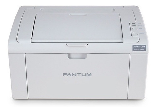 Imagen 2 de 10 de Impresora Pantum Hero P2509w Con Wifi 220v - 240v Gris