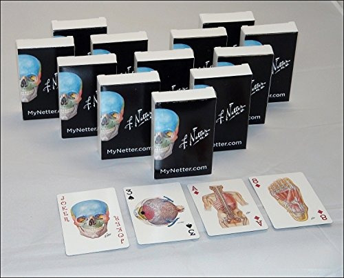 Netter Playing Cards Netters Anatomy Art Cards Box Of 12 Dec