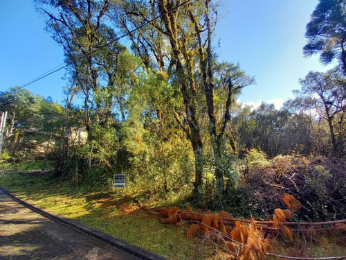 Imagem 6 de 6 de Terreno No Loteamento Vivendas Do Arvoredo - 1056