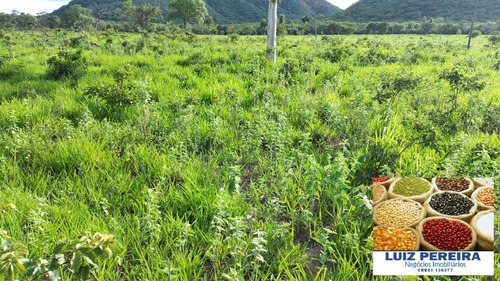 Fazenda À Venda Em Porto Murtinho - Ms - De 1.917 Hectares (pecuária) - 1635