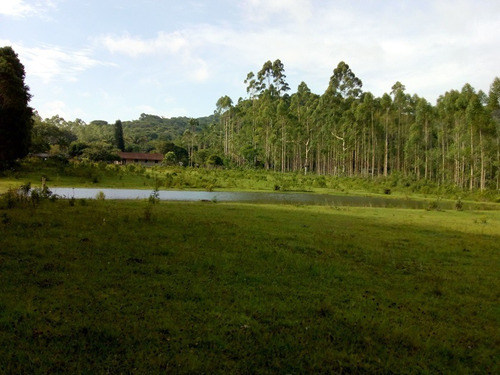 Imagem 21 de 27 de Juquitiba / Lindo Sitio C/piscina/ac Propostas/ref:04794
