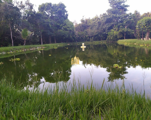 Imagem 5 de 30 de Sitio Em Boa Vista - Esmeraldas - St00068 - 34802218