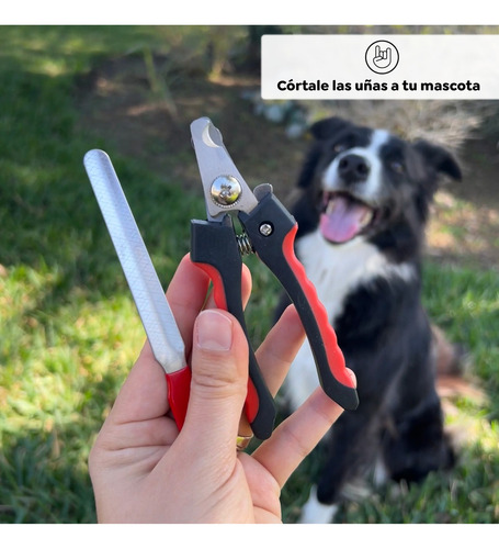 Cortador De Uñas Con Lima Para Perros O Gatos