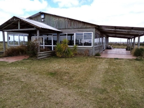 Imagen 1 de 19 de Chacra En Venta De 5 Hectáreas Con Tajamar Y Casa - San Carlos San Carlos