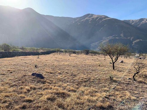 Imagen 13 de 14 de Venta 1hectareas 5907,75m2 Barcena Sobre Ruta
