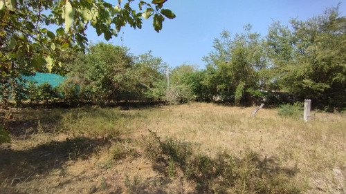 Imagen 4 de 4 de Venta De Terreno Cercano A Carretera Comalapa - Pvt-001-03-23