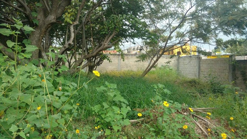 Imagen 4 de 9 de Venta Terreno Alta Palmira Temixco, Mor.