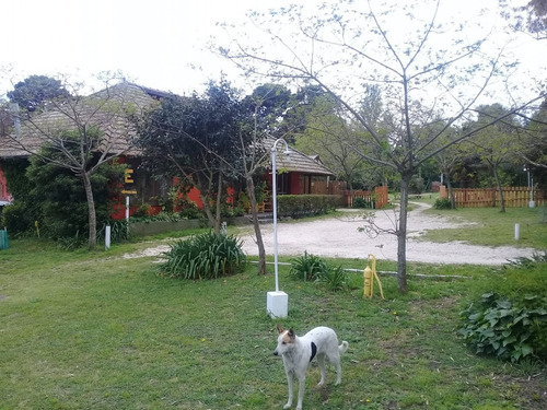 Imagen 4 de 27 de Casa Quinta. Pileta. Zona Paraje La Gloria De La Peregrina